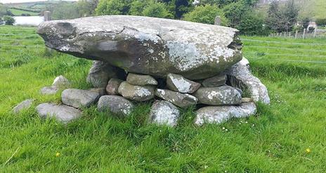 A large circular cairn located in a field overlooking Loughinisland Churches