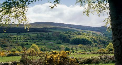 Slieve Gullion View