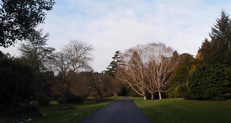 Castlewellan Forest Park - Annesley Garden Walk