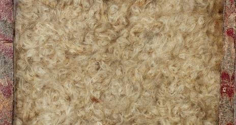 Image of Asciepias incarnata, Apocynaceae, from North America, copyright Natural History Museum. The box is wrapped in red, yellow and green marbled p