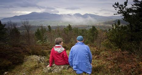 Castlewellan Forest Park - Slievenaslat Walk