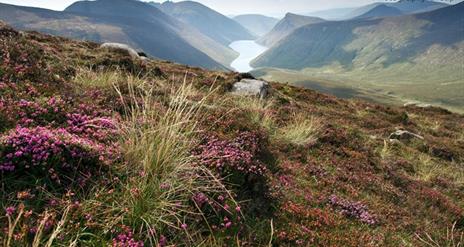 Central Mournes