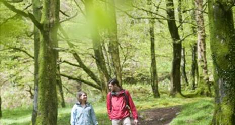 Couple walking in forest