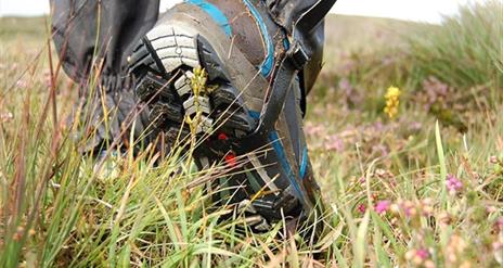 Walking boots on grassland