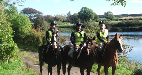 St Patrick's Way Stables
