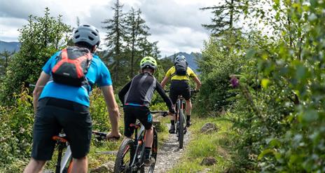 Electric Mountain Biking on the Castlewellan Red Trail – Bike Mourne