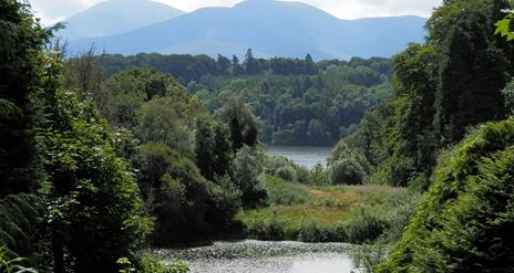 Castlewellan Forest Park - Cypress Pond Walk