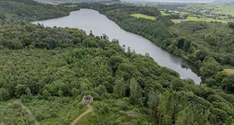 Aerial View of Castlewellan Forest Park