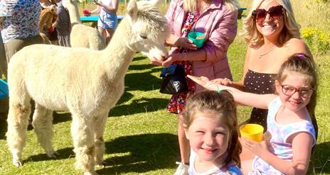 Ladies and children feeding Alpaca