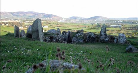 Ballymacdermot Court Tomb