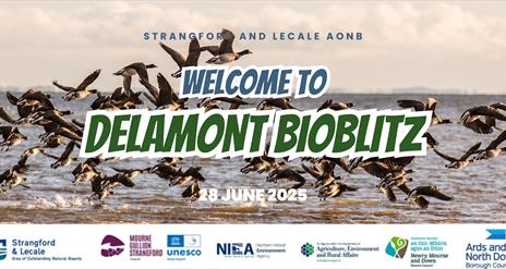 Delamont Bioblitz