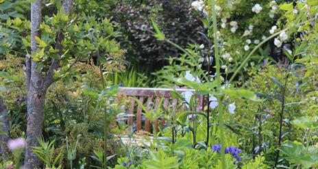 Beautiful greenery at 7 Mount Charles North Garden, with wooden bench to enjoy the surroundings.