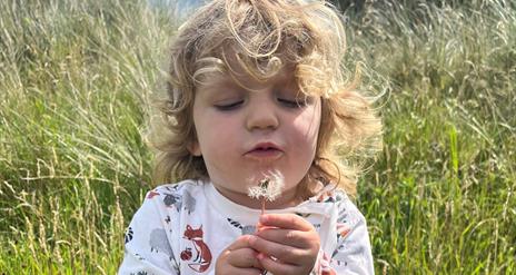 A child blowing a dandilion in a field of long grass.