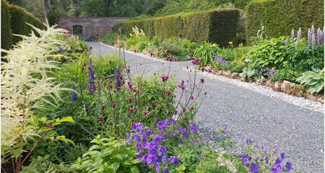 Castlewellan Arboretum and Annesley Garden EHOD 2025