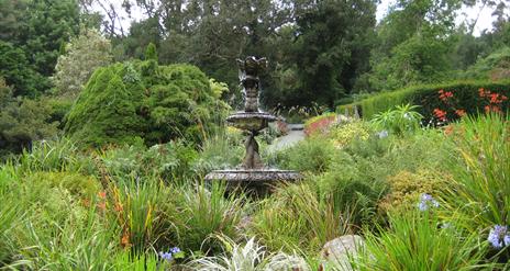 Castlewellan Arboretum