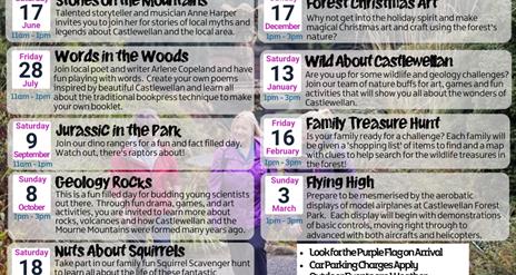 Forest Activities at Castlewellan Forest Park