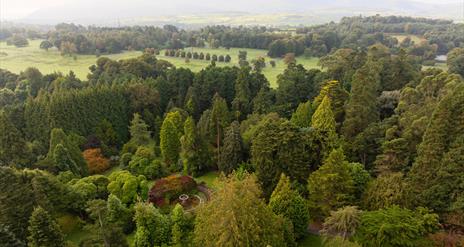 An aerial view of Castlewellan Forest Park