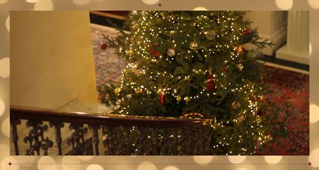 Christmas Tree in Montalto House