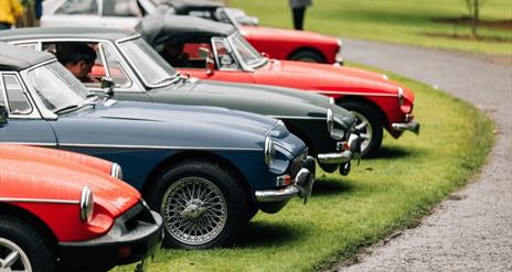 image of 5 Classic Cars parked at Montalto