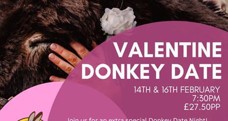 Valentine Donkey Date Poster