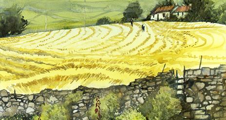 Watercolour image of a rural County Down landscape. Visible in the foreground is a stone fence, and behind is a field  of a yellow colour with marks i