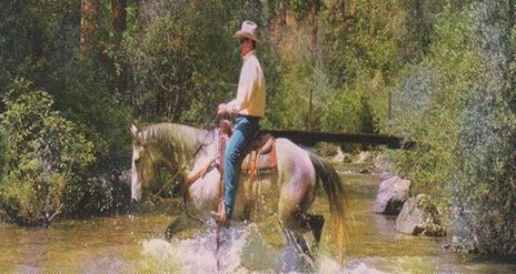 Western style man riding horse in river