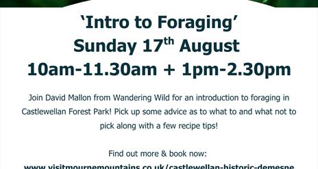 Intro to foraging
