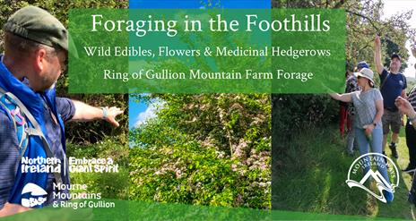 Foraging in the Foothills Banner