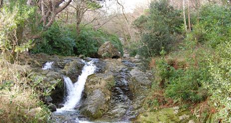 Glen River, Newcastle