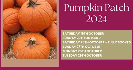 Pumpkin Patch Poster 2024