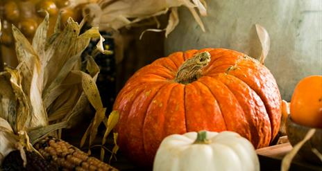 Pumpkins for Halloween Bazaar at Montalto