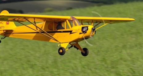 Model aeroplanes sitting on the grass ready to fly.