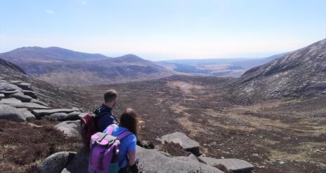 Looking over the Mournes