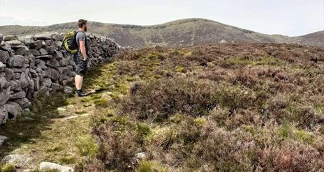Taking in the views on Seefin mountain