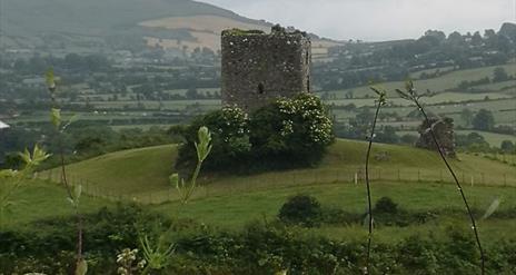 Moyry Castle - Gap of the North