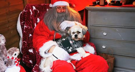dog on santa's lap, Ballynahinch County Down