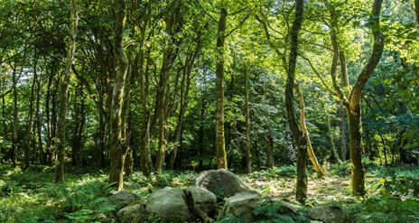 Jill Jennings / WTML