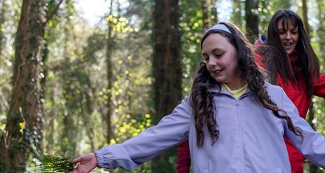 A girl walking through the forest and running her hands over the ferns along the path.