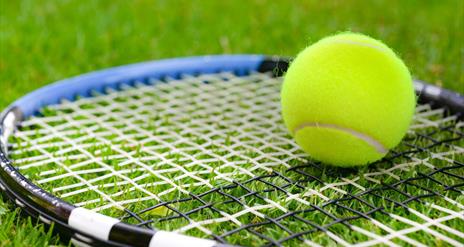 Tennis Racquet and Ball