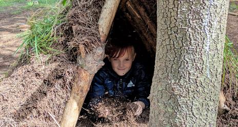Child looking out from behind tree