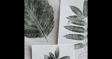 nature prints by Ruth Osborne
