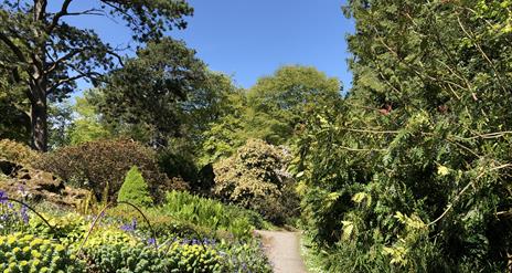 A stoney path, through an area of green trees in Rowallane Garden