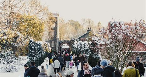 Rowallane Garden, Yuletide scene