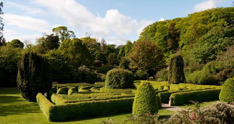 Seaforde Gardens, Maze