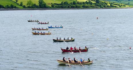 St Ayles Skiffs on Strangford Lough at Delamont Country Park.