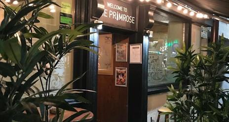Dining at The Primrose