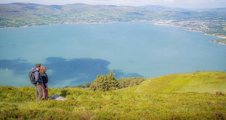 The Fallows Trail - view across Carlingford Lough from Rostrevor