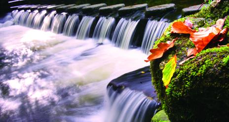 Shimna River, Newcastle