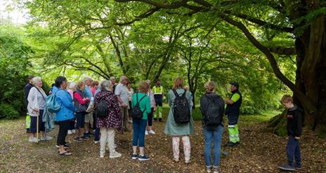 Tour Castlewellan Historic Demesne