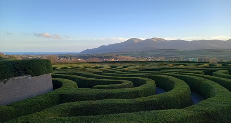 Castlewellan Peace Maze